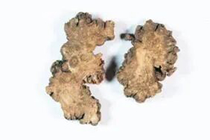 微信图片_20251110103102.jpg 微信图片_20251110103102.jpg