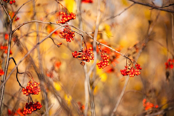 微信图片_20251110103120.jpg 微信图片_20251110103120.jpg