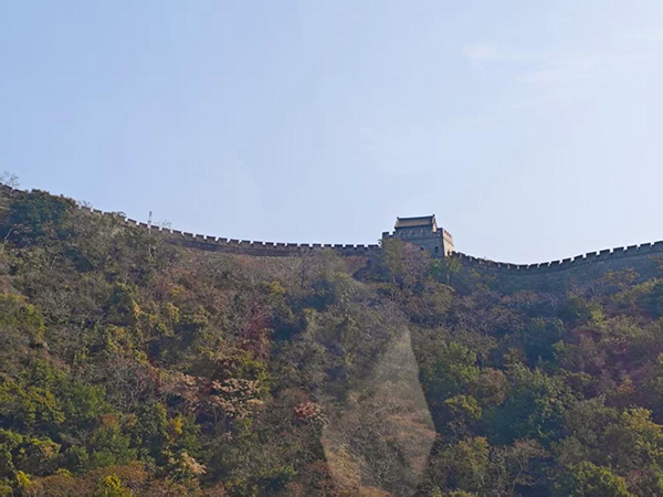 图片-1.jpg 图片-1.jpg