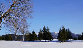 健康促进丨小雪养生，藏养阳气