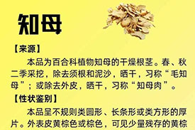 每周一药 | 清热药 | 知母